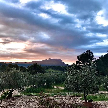 Casa Rural Cortijo La Ajedrea Siles エクステリア 写真