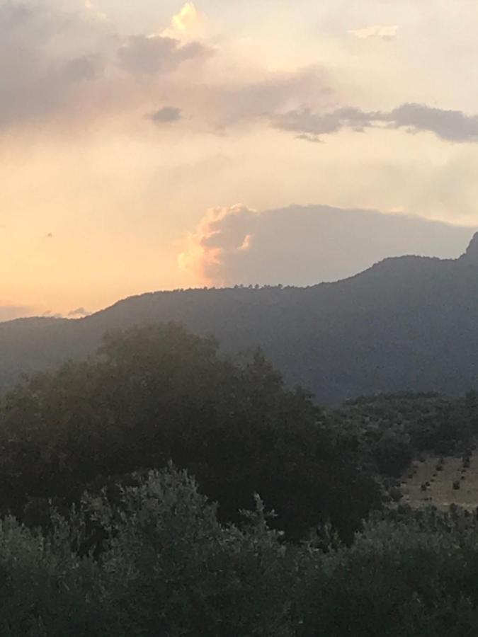 Casa Rural Cortijo La Ajedrea Siles エクステリア 写真
